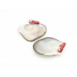 Tacinha ramo de coral